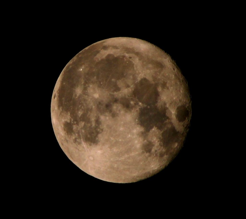 Buck Moon July 2021